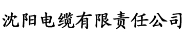 午夜片电缆厂logo